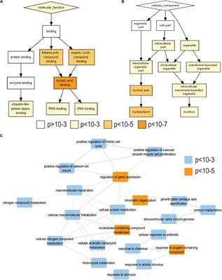 Epigenetic Vulnerability of Insulator CTCF Motifs at Parkinson’s Disease-Associated Genes in Response to Neurotoxicant Rotenone